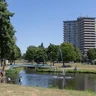 Dijkgraaf 4--01C-8